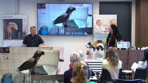 veterinární seminář s Mija Langhojer